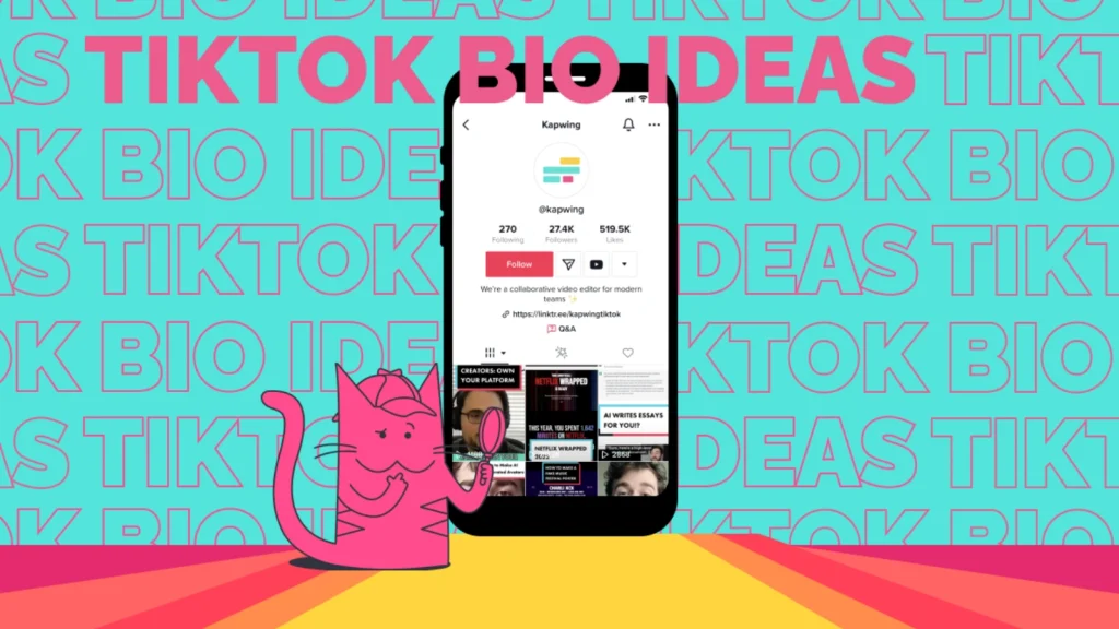 tiktok-bio-ideas
